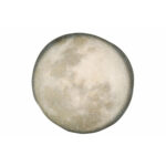 Тарілка кругла Porland Stoneware Selene Ø300 мм